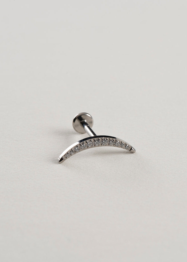 Stud Luna Nueva