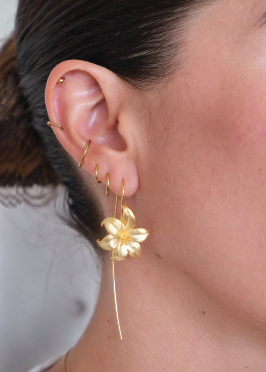 Aretes Flor de Oro