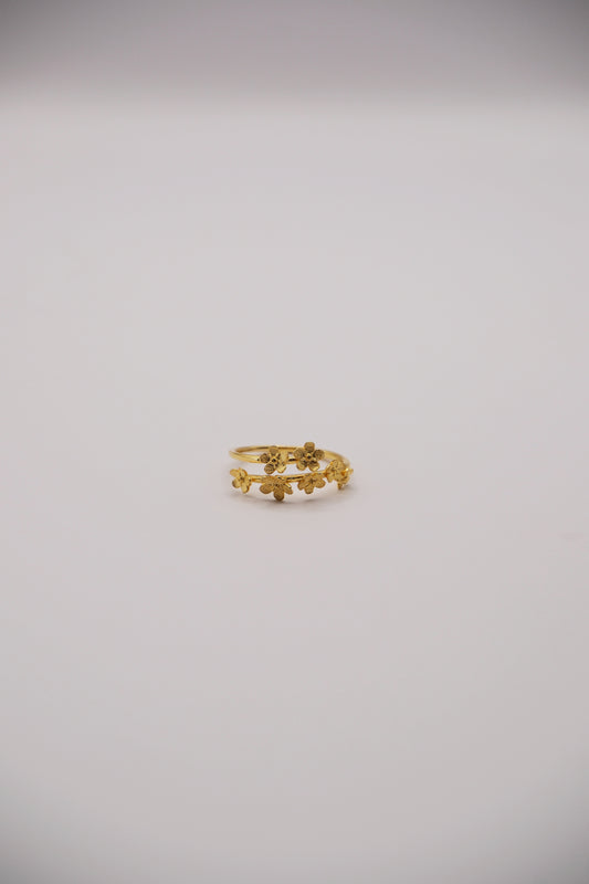 Anillo Jardín de Flores