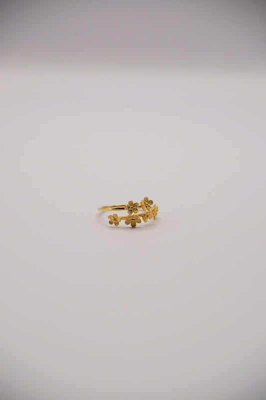 Anillo Jardín de Flores