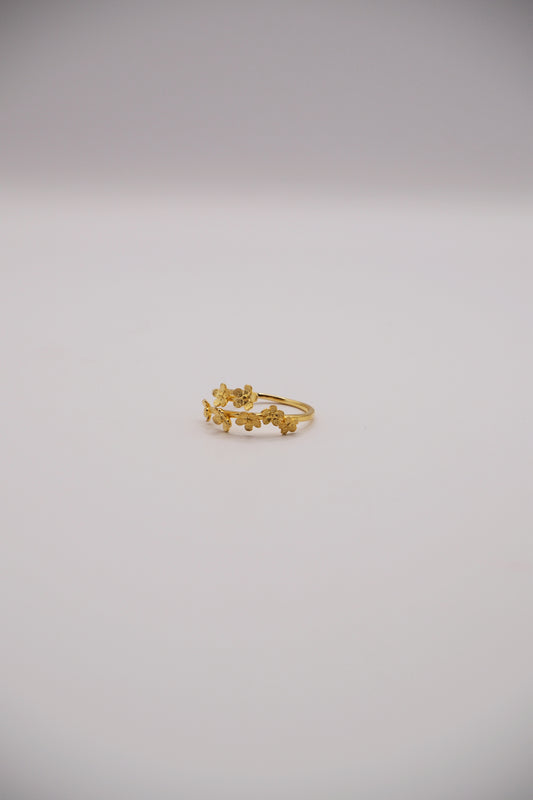 Anillo Jardín de Flores