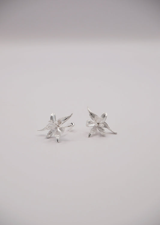 Aretes Flor Plateada