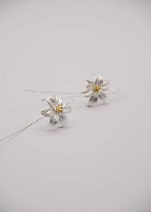 Aretes Flor de Plata