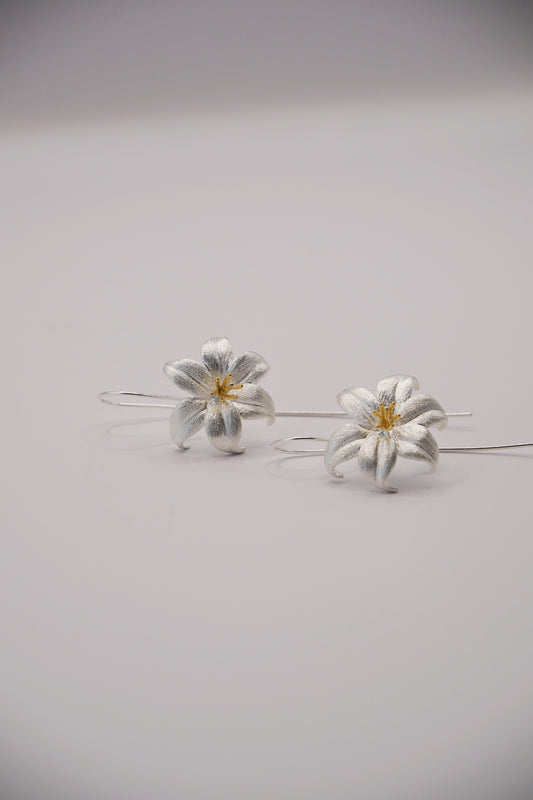 Aretes Flor de Plata