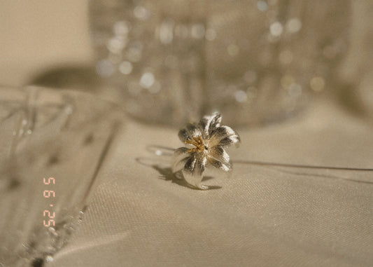 Aretes Flor de Plata