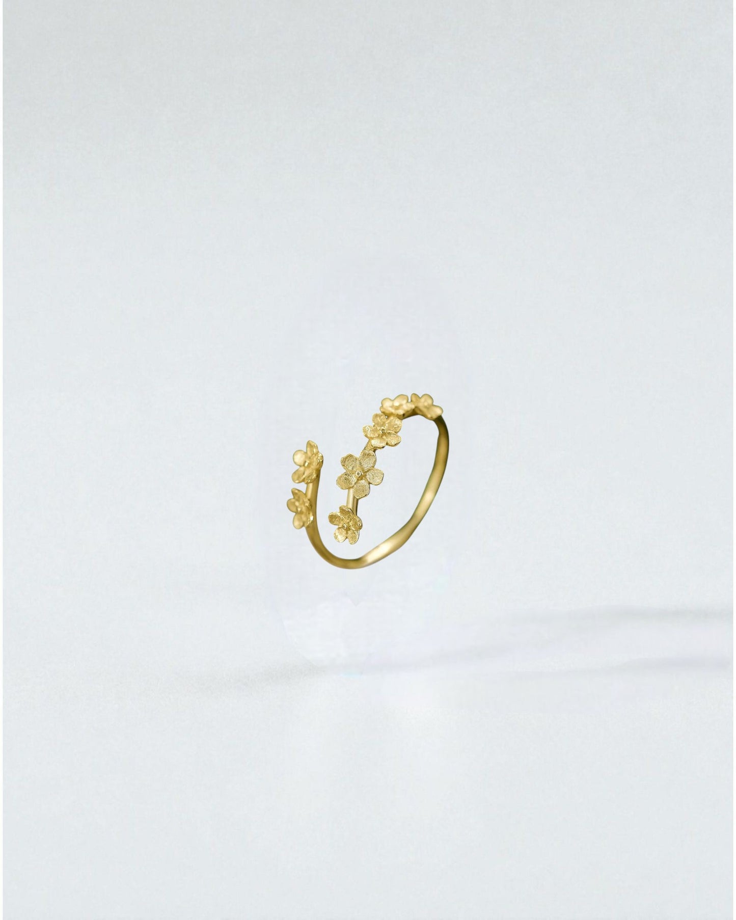Anillo Jardín de Flores