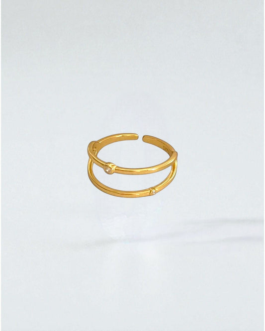 Anillo línea doble