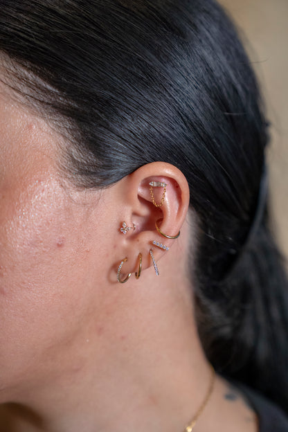 Tu experiencia ODONATA: segura, puntual y personalizada