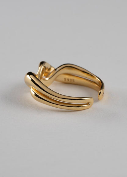 Anillo Giro
