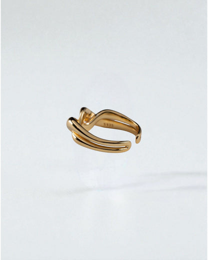 Anillo Giro