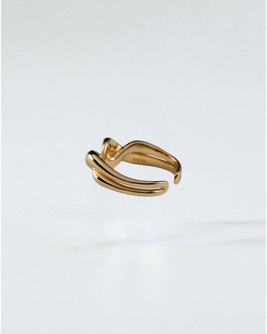 Anillo Giro
