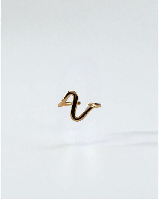 Anillo viento