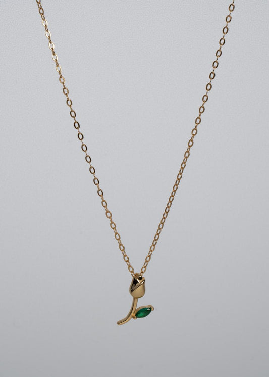 Collar Flora