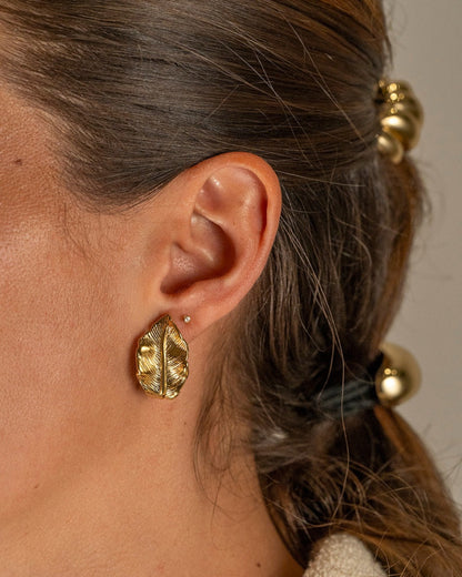 Aretes hojas
