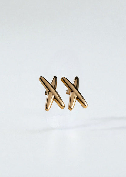 Aretes Tache