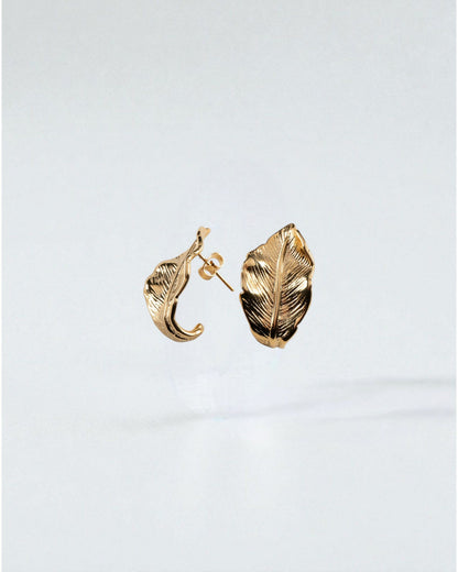 Aretes hojas