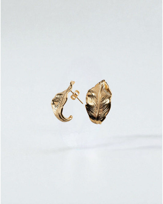 Aretes hojas