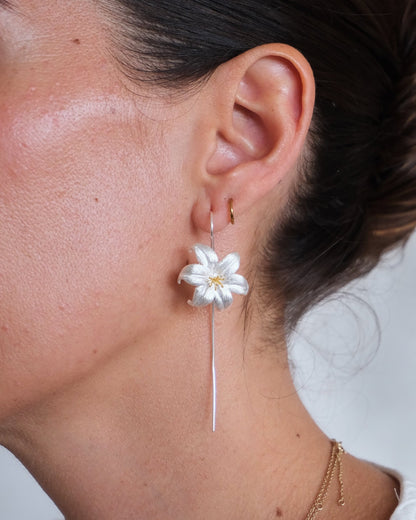 Aretes Flor de Plata