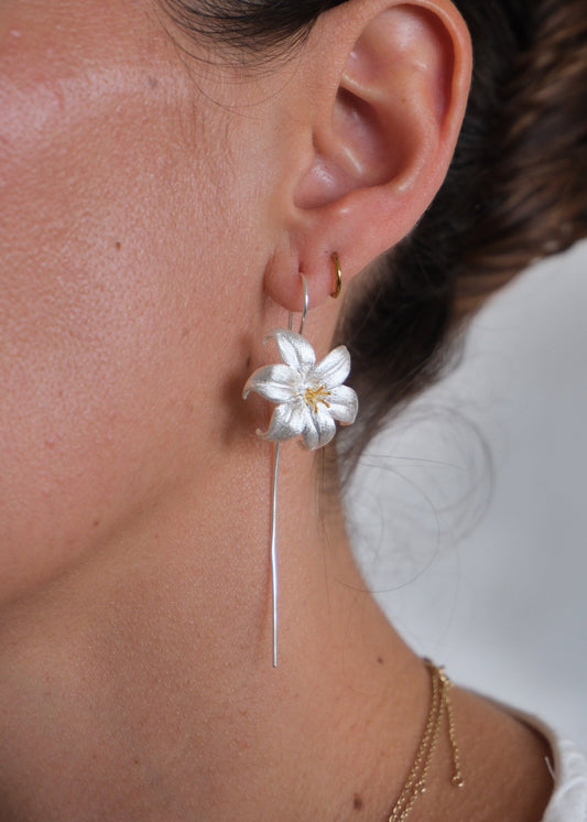 Aretes Flor de Plata