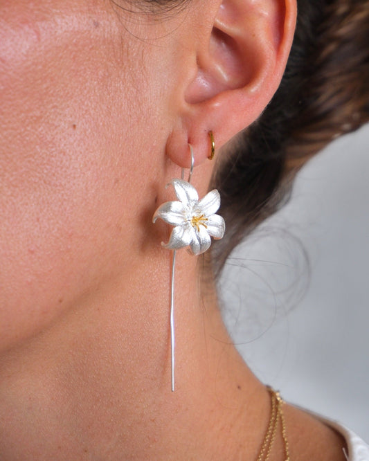 Aretes Flor de Plata