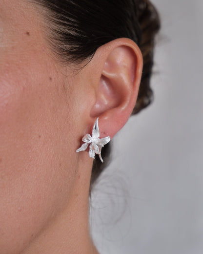 Aretes Flor Plateada