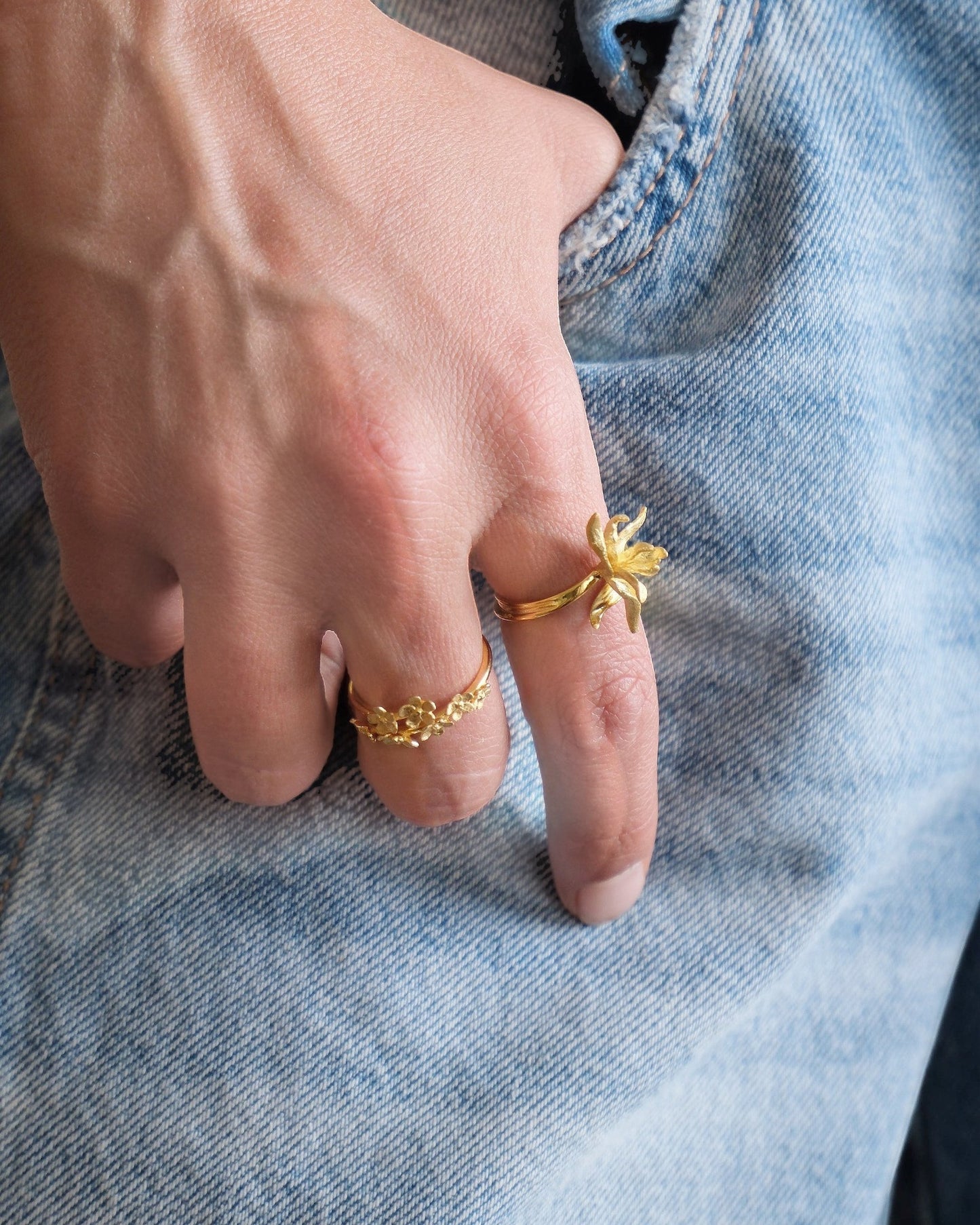 Anillo Jardín de Flores