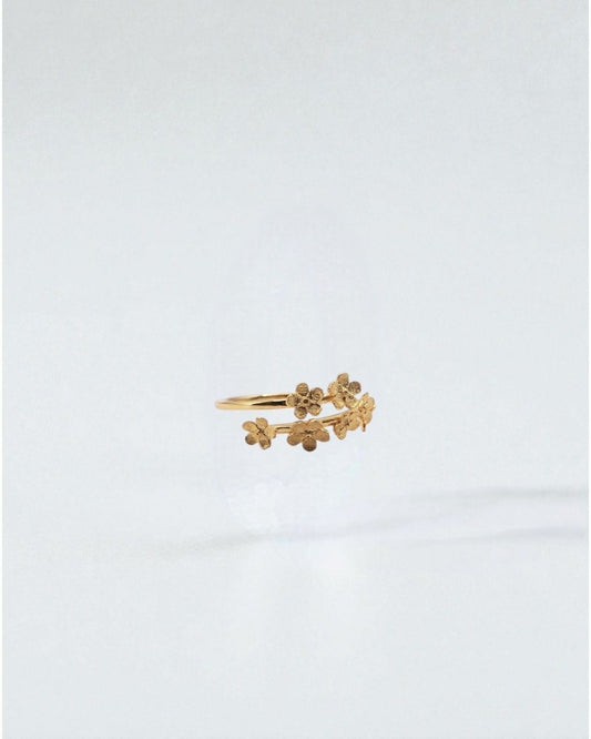 Anillo Jardín de Flores