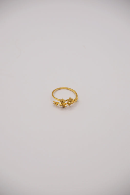 Anillo Jardín de Flores