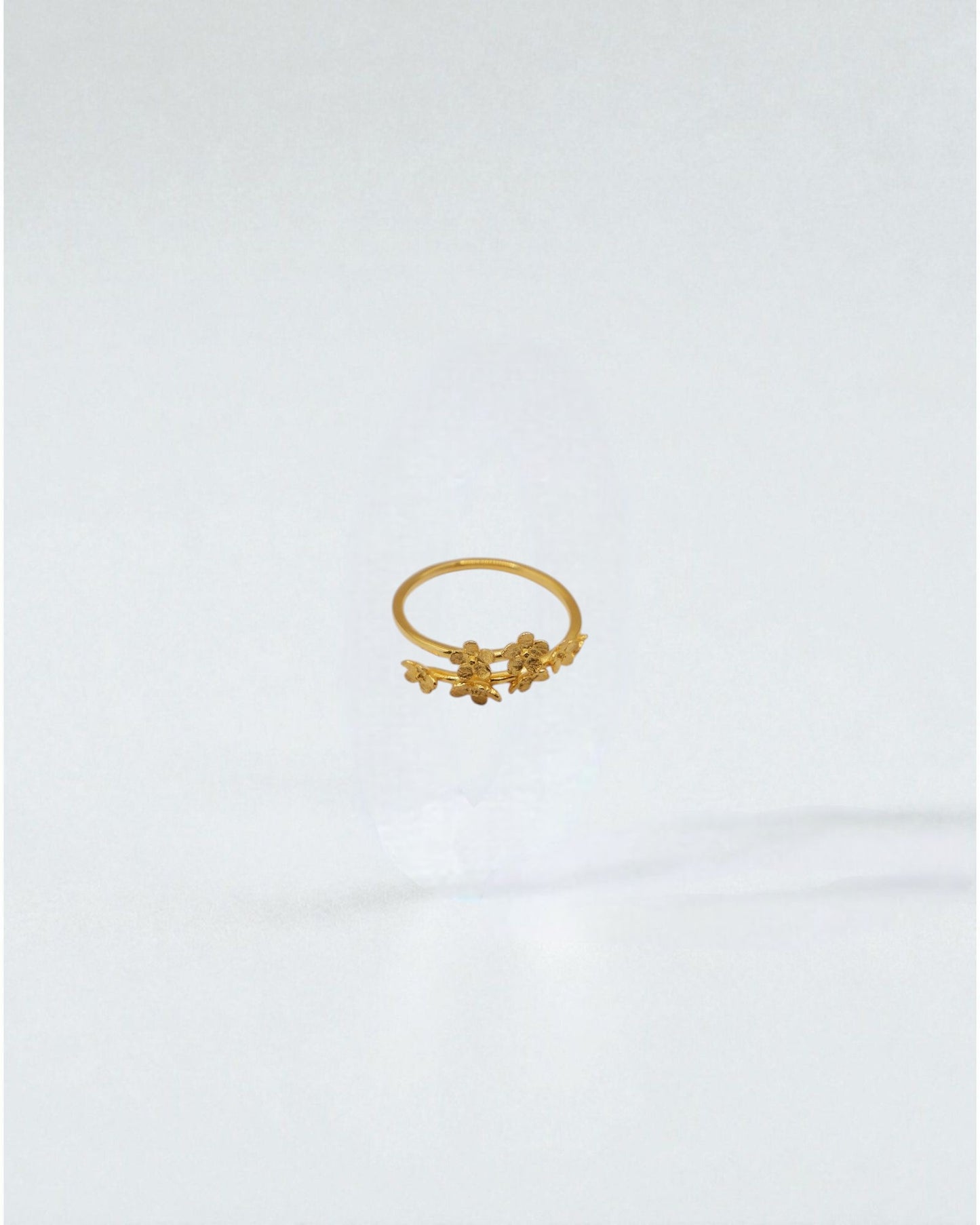 Anillo Jardín de Flores