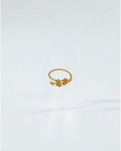 Anillo Jardín de Flores