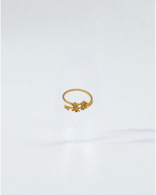 Anillo Jardín de Flores
