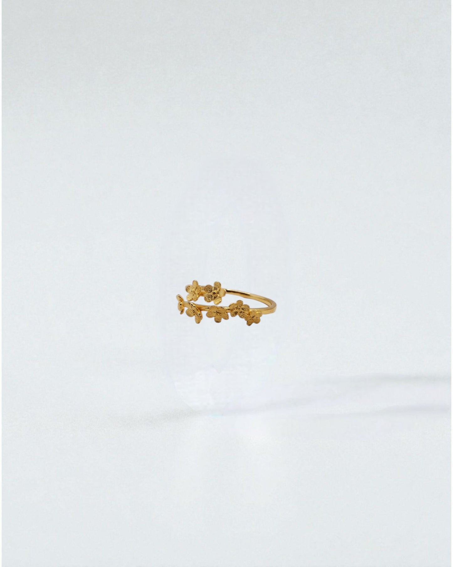 Anillo Jardín de Flores