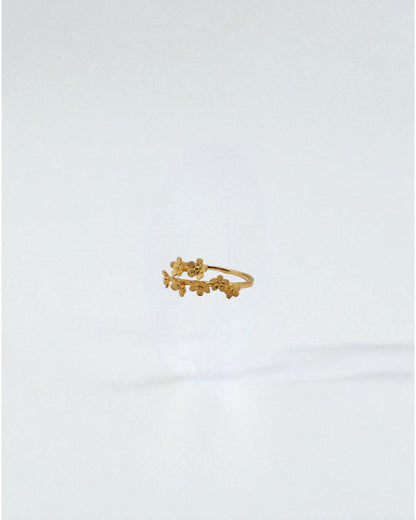 Anillo Jardín de Flores