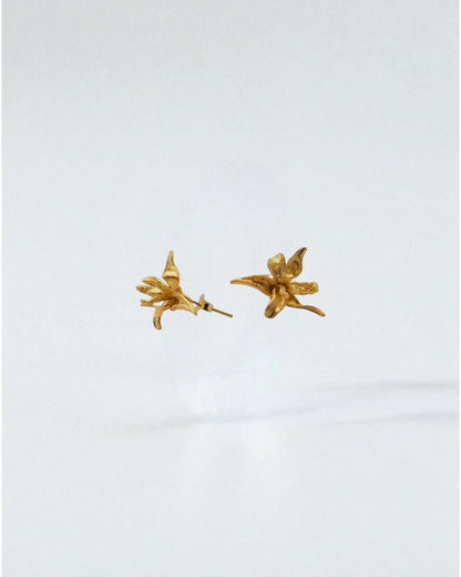 Aretes Flor Dorada