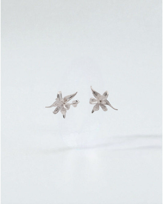 Aretes Flor Plateada