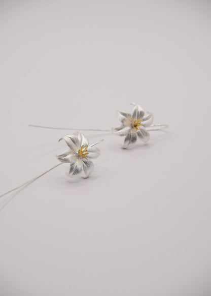 Aretes Flor de Plata