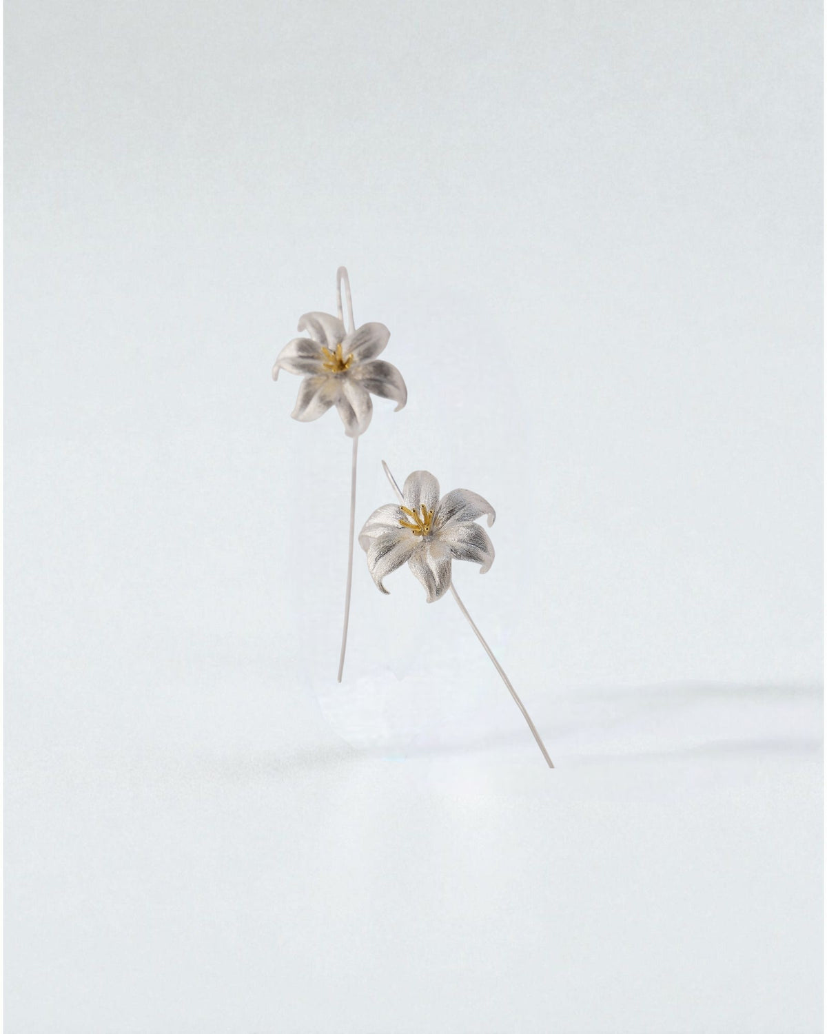 Aretes Flor de Plata