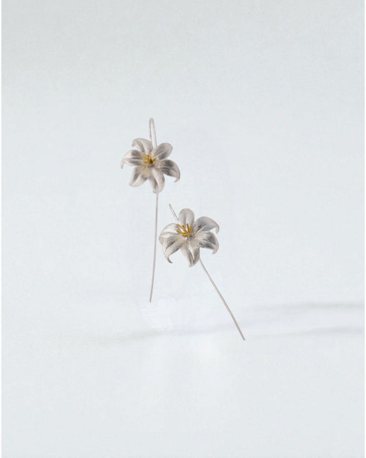 Aretes Flor de Plata