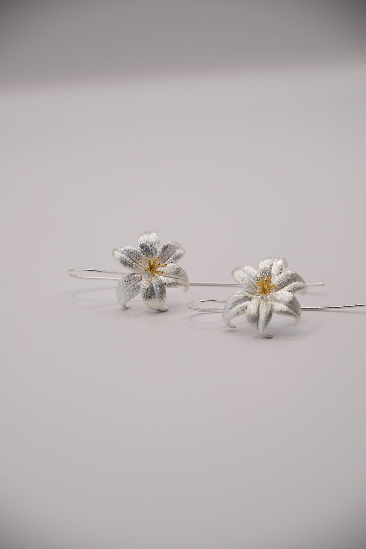 Aretes Flor de Plata