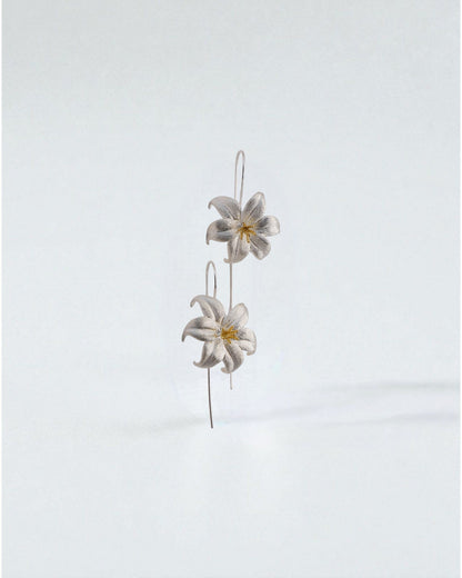 Aretes Flor de Plata