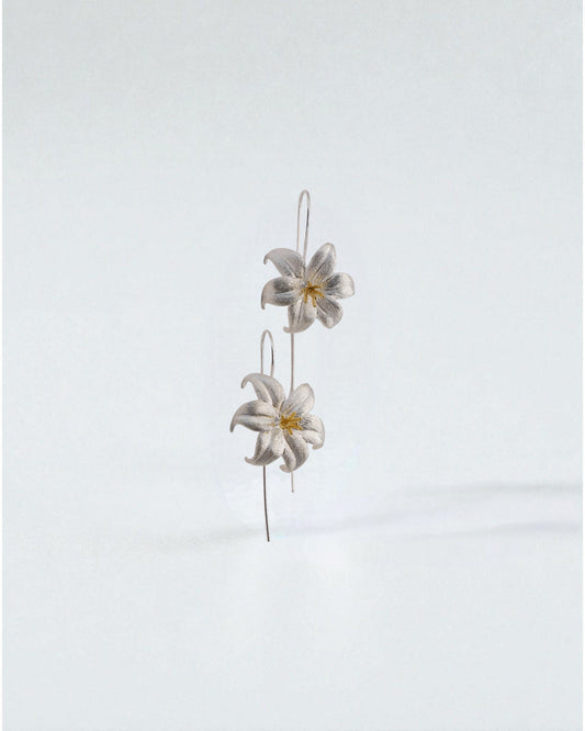 Aretes Flor de Plata