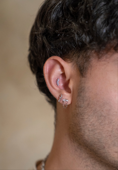 Stud Serpiente Brillante