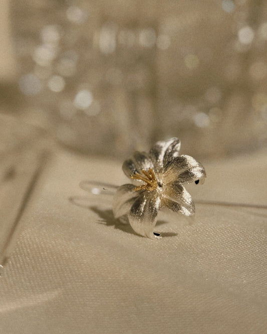 Aretes Flor de Plata