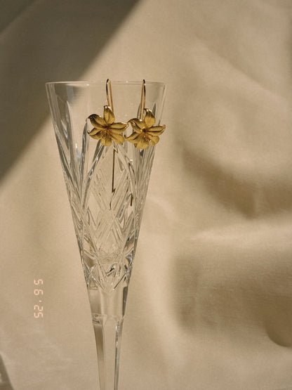 Aretes Flor de Oro
