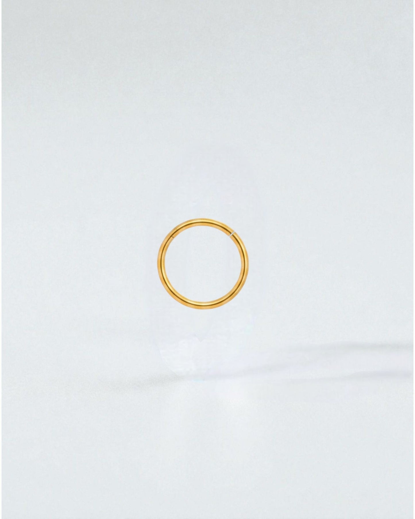 Odonata gold-plated stainless steel clicker hoop earring, 10mm diameter, minimalist design for daily wear.