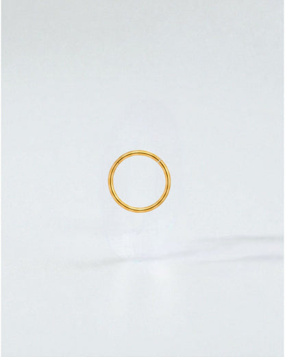 Odonata gold-plated stainless steel clicker hoop earring, 10mm diameter, minimalist design for daily wear.