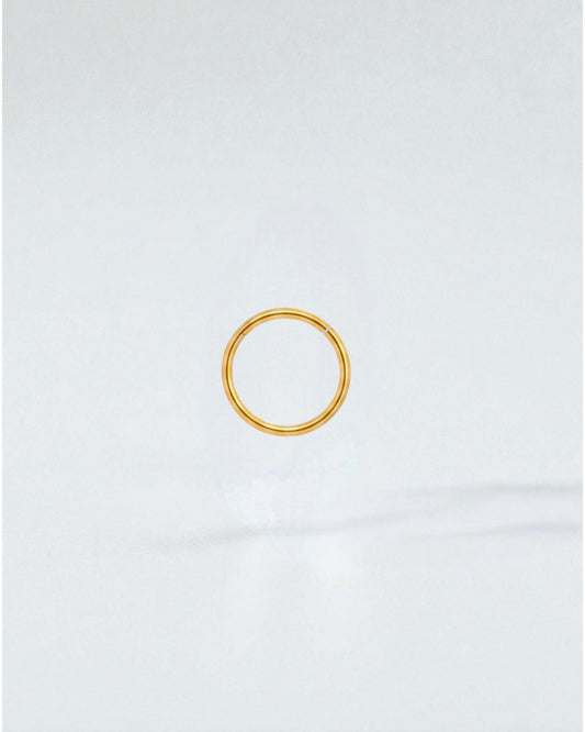 Odonata gold-plated stainless steel clicker hoop earring, 10mm diameter, minimalist design for daily wear.