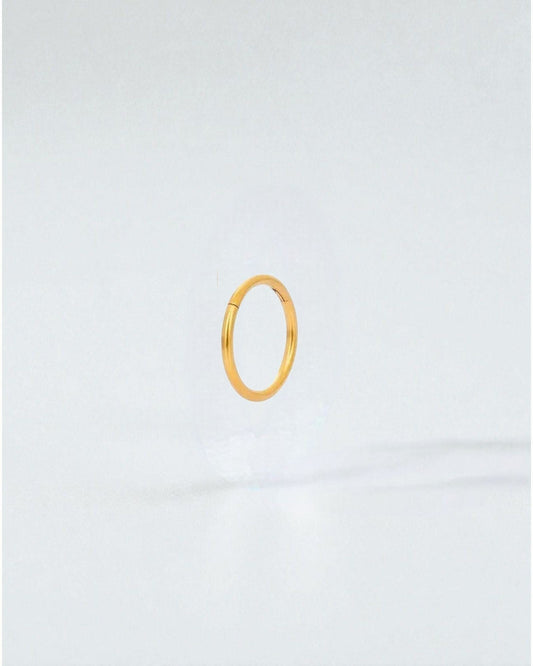 Odonata gold-plated stainless steel clicker hoop earring, 10mm inner diameter, minimalist design for everyday wear.