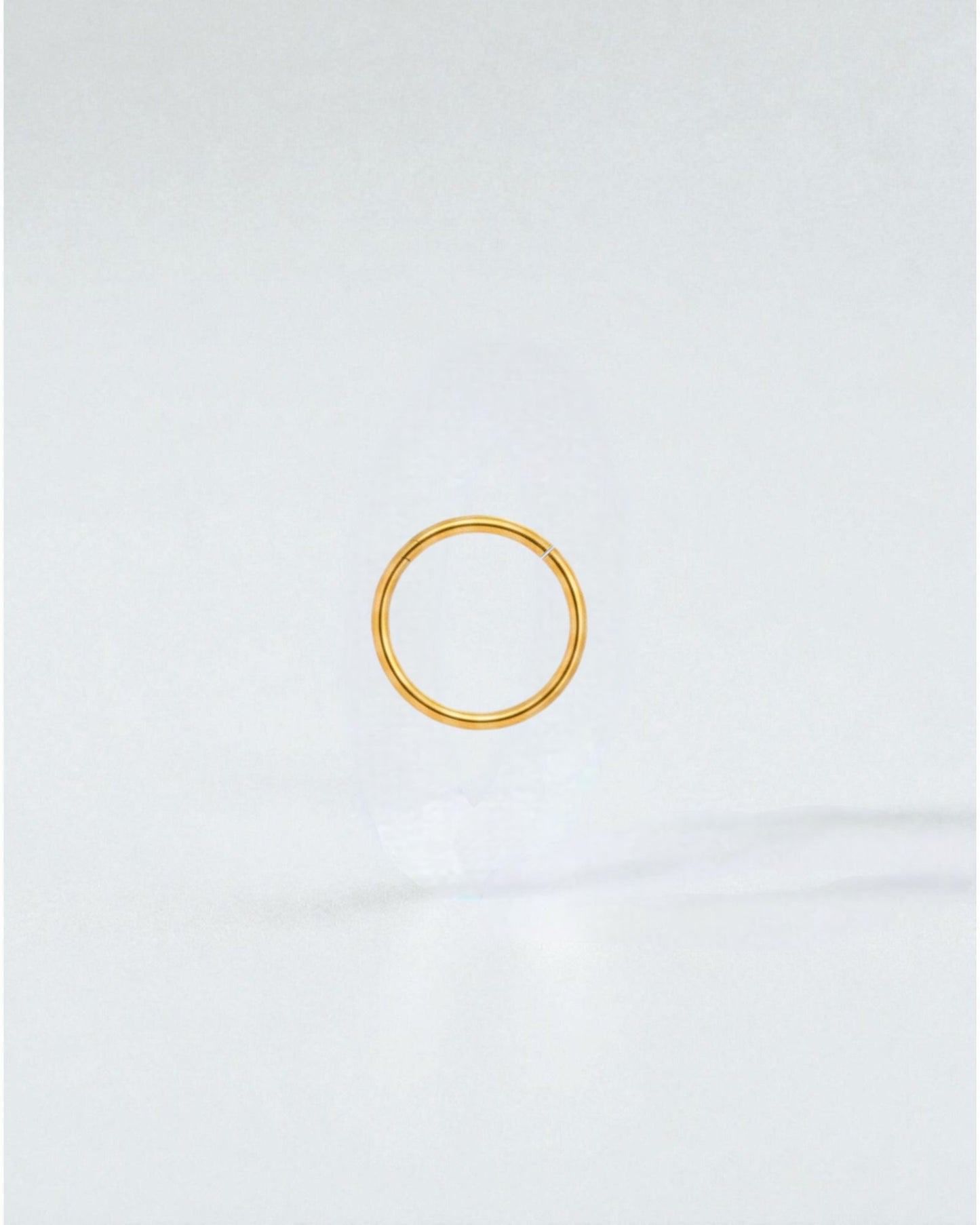 Odonata gold-plated stainless steel clicker hoop earring, 12mm diameter, 16g gauge, for a minimalist look.
