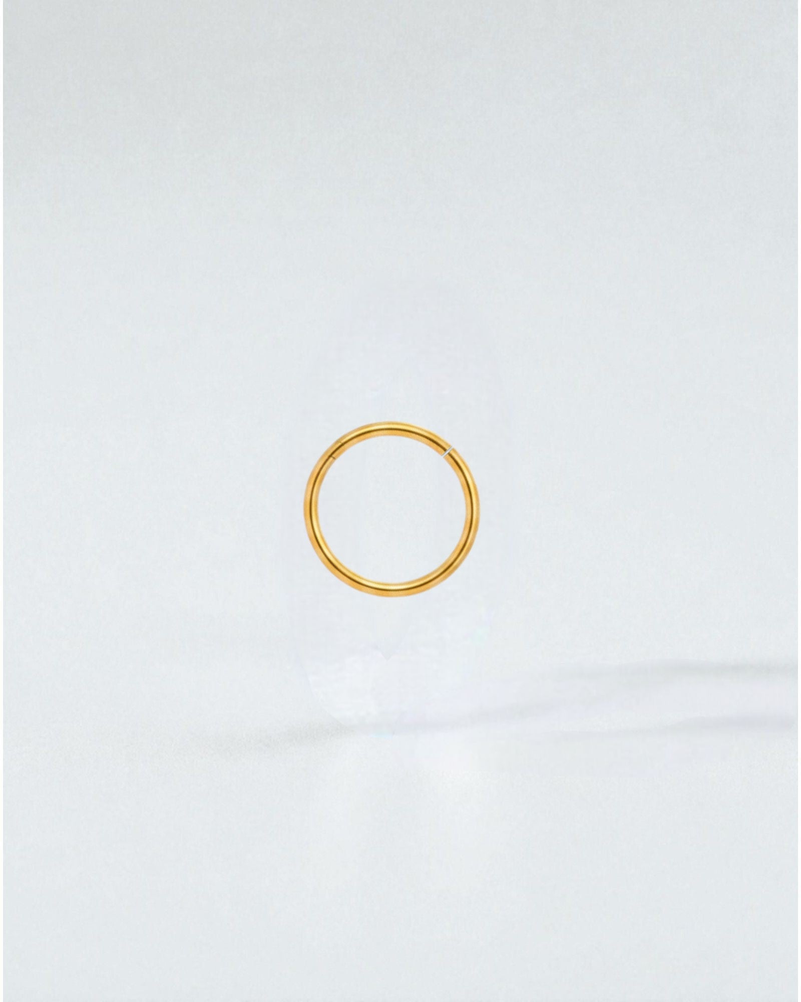 Odonata gold-plated stainless steel clicker hoop earring, 12mm diameter, 16g gauge, for a minimalist look.